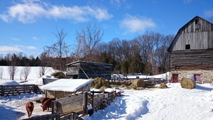 Yellowmoon Farm & Forest